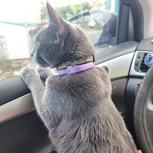 Fundraising Page: Lee n Lei